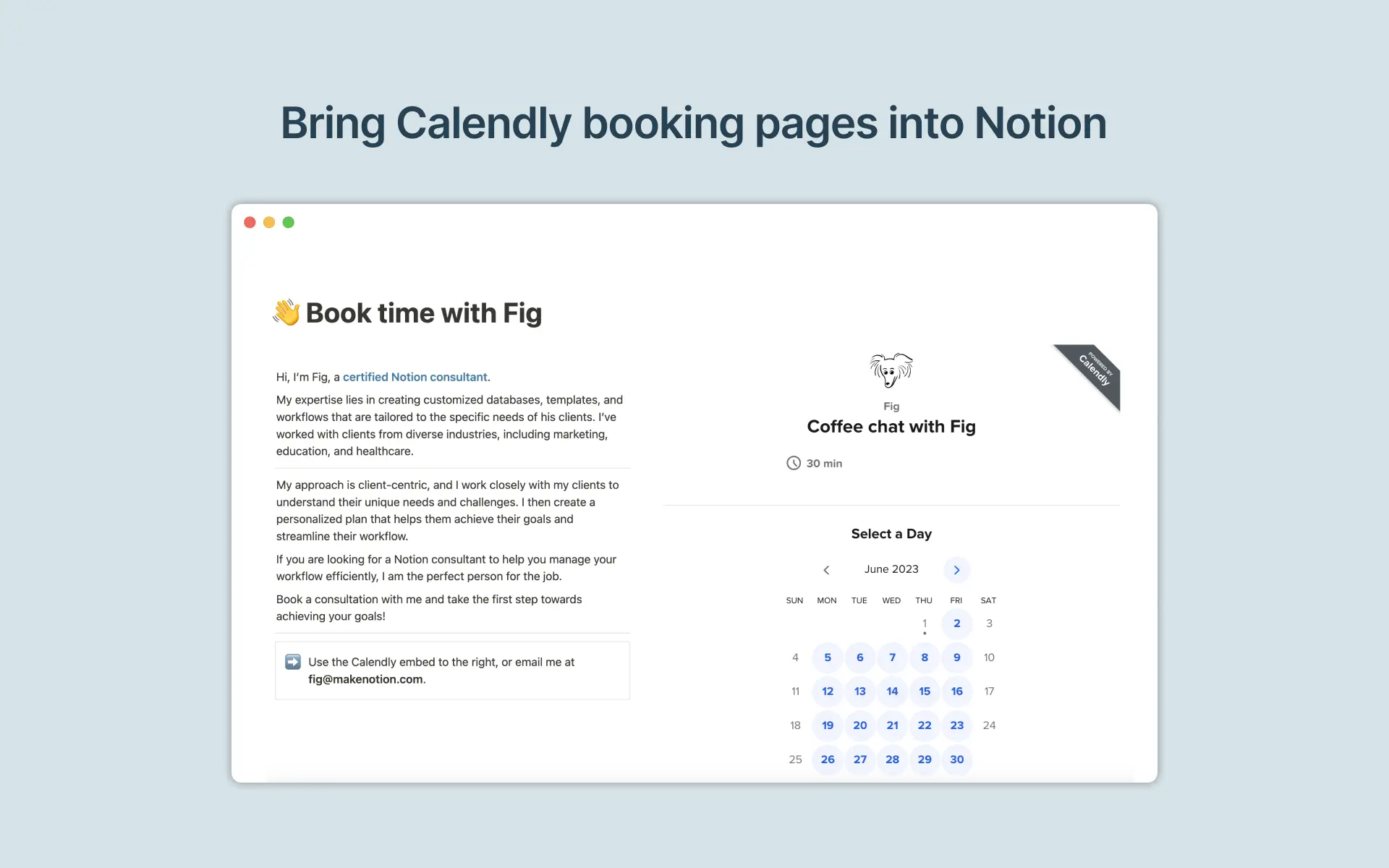 Embed Calendly booking pages into Notion