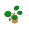 Profile picture of Grassdener