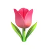 Profile picture of Raafa