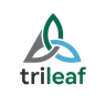 Profile picture of Trileaf templates