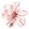 Profile picture of NotesFromEvie